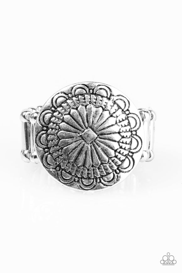 Seasonal Spinster - Silver Paparazzi Ring - Carolina Bling Boss