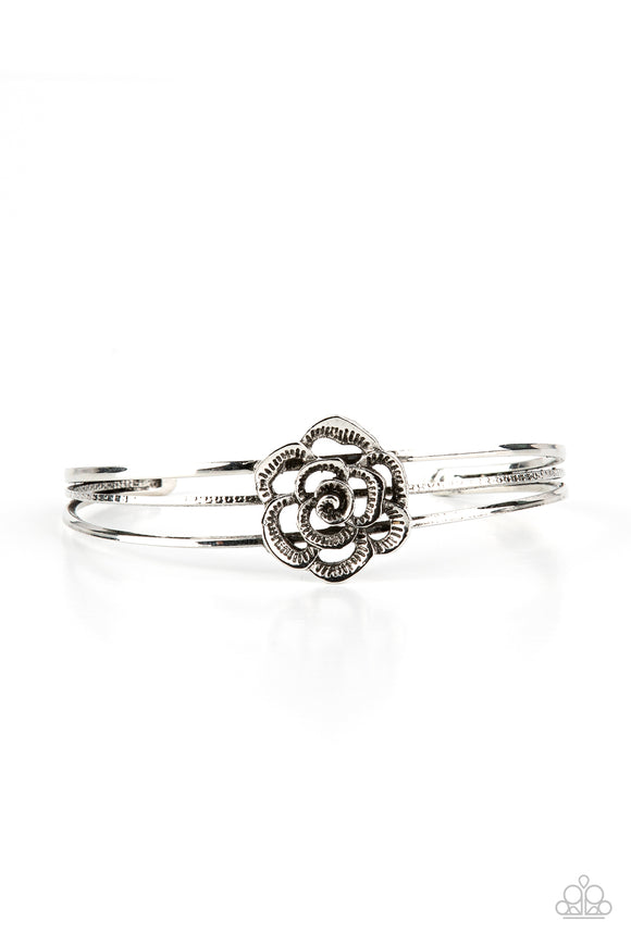 Rosy Repose - Silver Paparazzi Bracelet